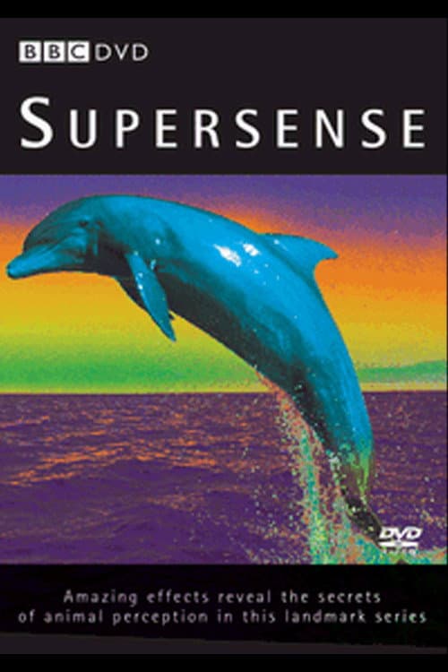 Poster for Supersense