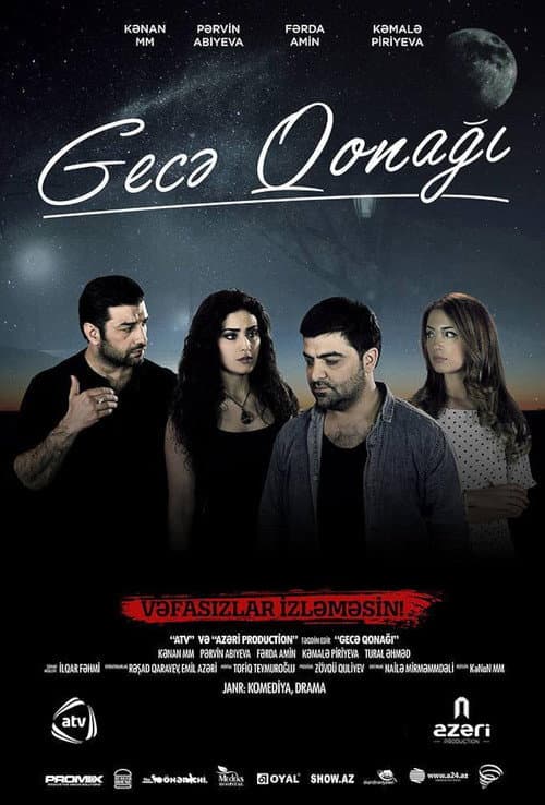 Poster for Night Guest