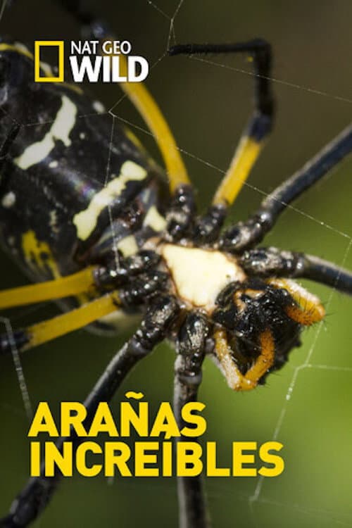 Poster for Incredible Spiders