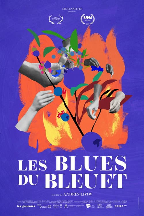 Poster for The Blueberry Blues
