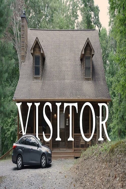 Poster for Visitor
