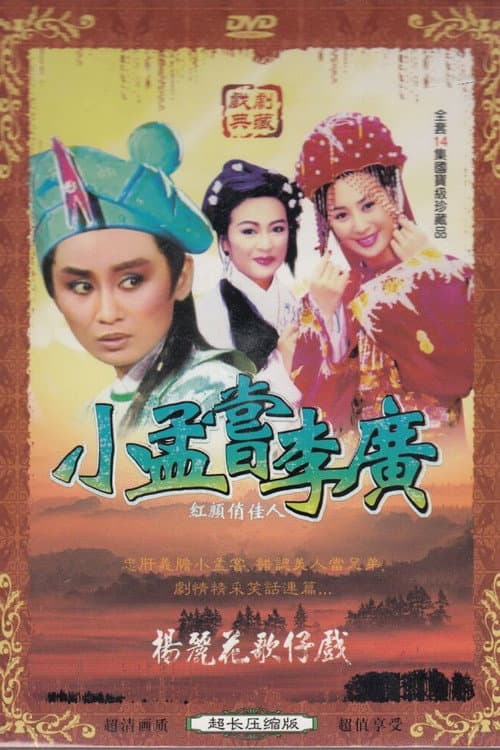 Poster for 楊麗花歌仔戲之紅塵奇英