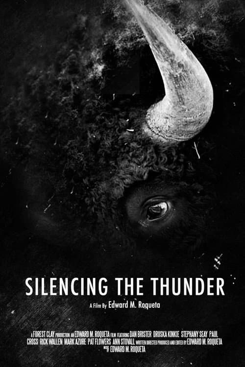 Poster for Silencing the Thunder