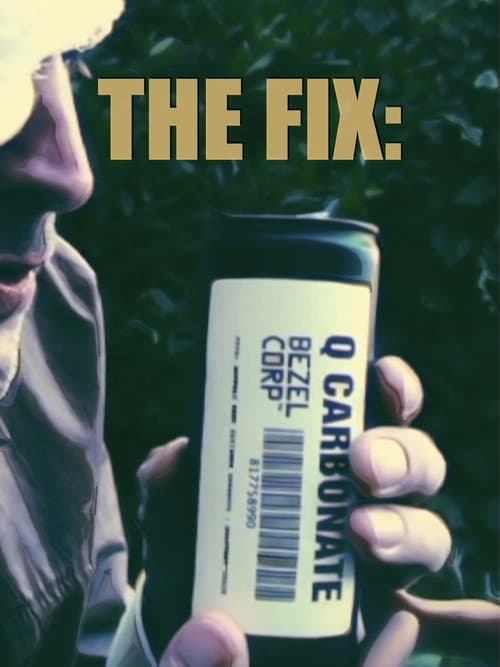 Poster for The Fix:
