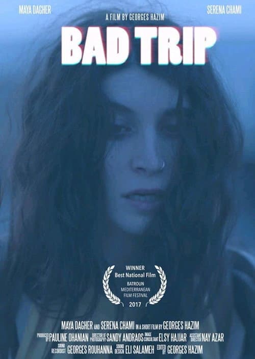 Poster for Bad Trip