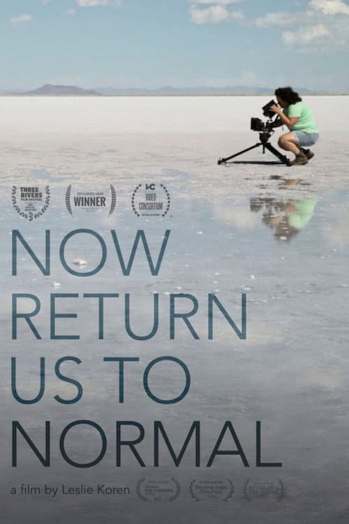 Poster for Now Return Us To Normal