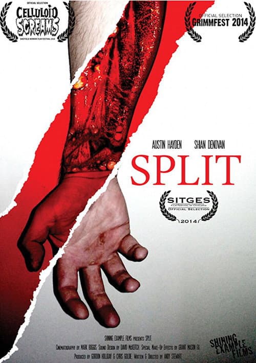 Poster for Split