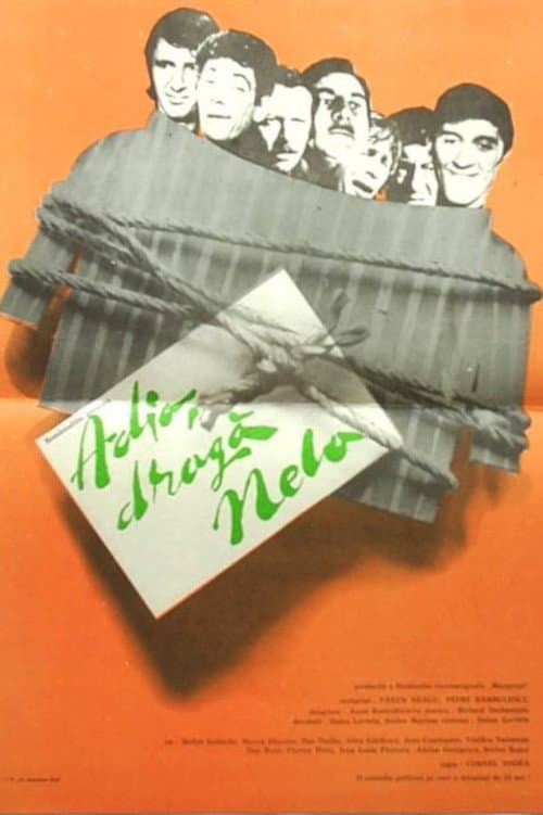 Poster for Farewell, Dear Nela!