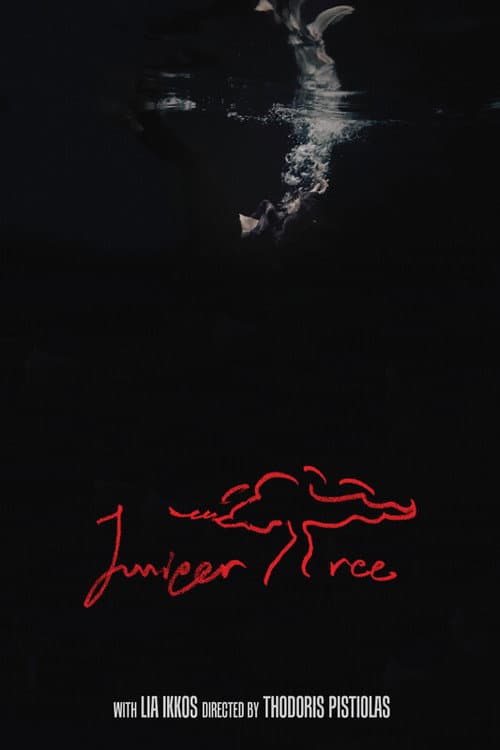 Poster for Juniper Tree