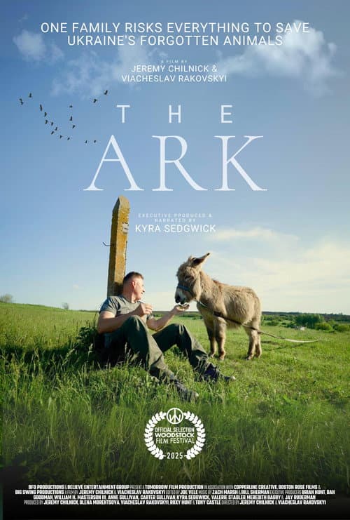 Poster for The Ark