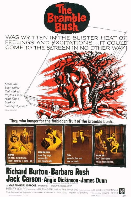 Poster for The Bramble Bush