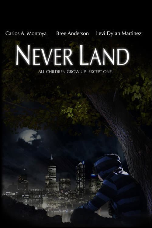 Poster for Never Land
