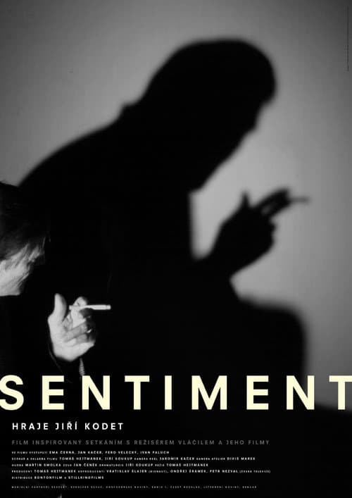 Poster for Sentiment