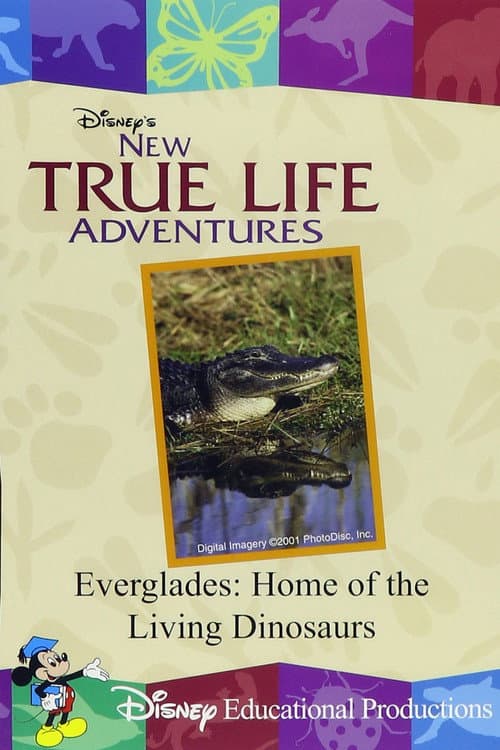 Poster for Everglades: Home of the Living Dinosaurs