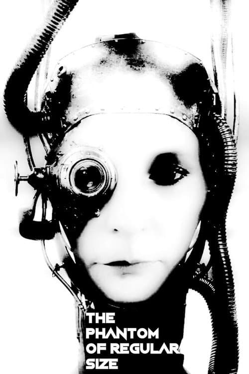 Poster for The Phantom of Regular Size