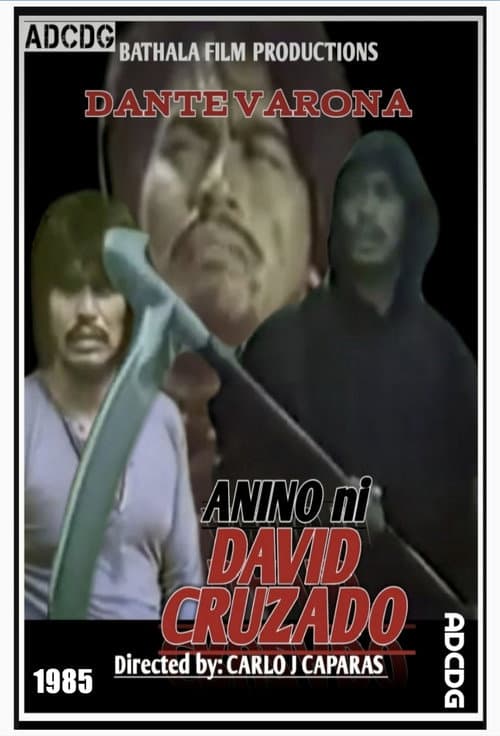 Poster for Anino ni David Crusado
