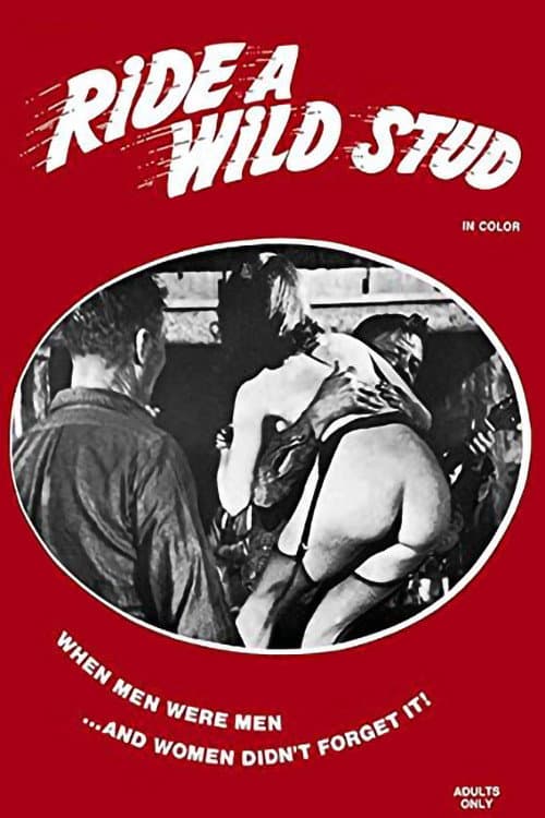 Poster for Ride a Wild Stud