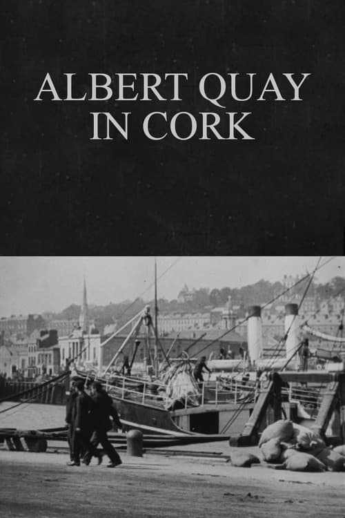 Poster for Albert Quay in Cork