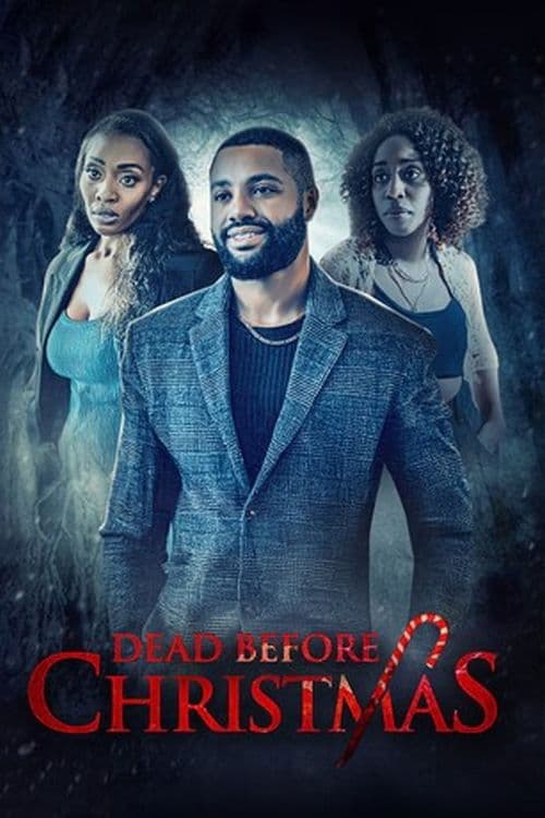 Poster for Dead Before Christmas