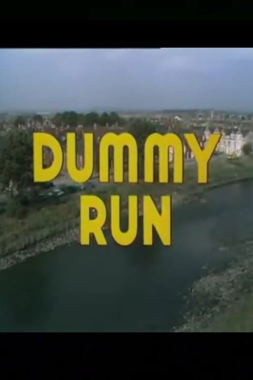 Poster for Dummy Run