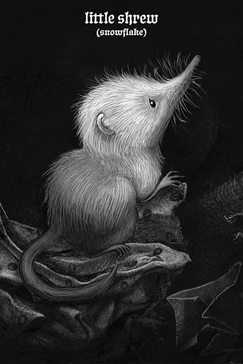 Poster for Little Shrew (Snowflake)