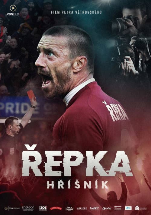 Poster for Řepka: Hříšník