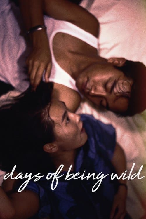 Постер до фільму «Days of Being Wild»