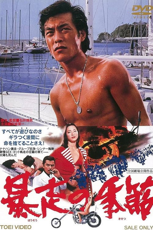 Poster for The Runaway Season