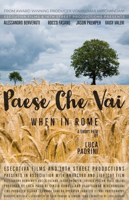 Poster for When in Rome