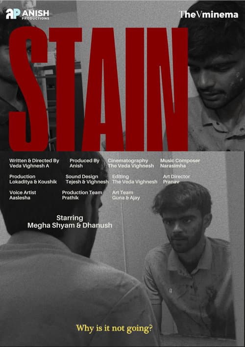 Poster for STAIN