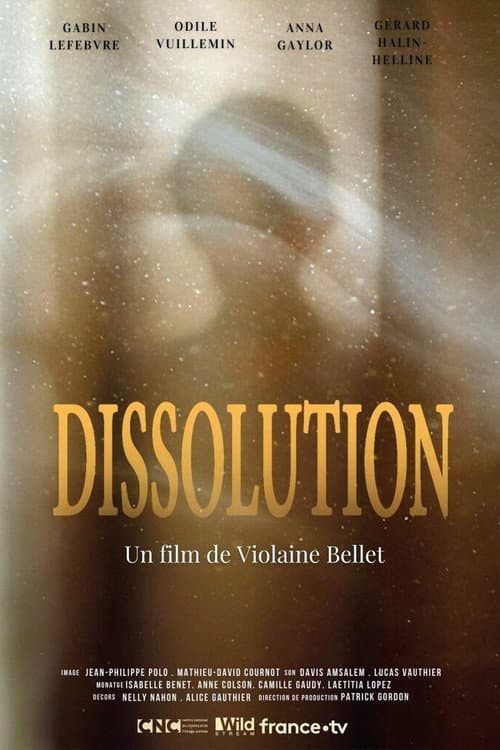 Poster for Dissolution