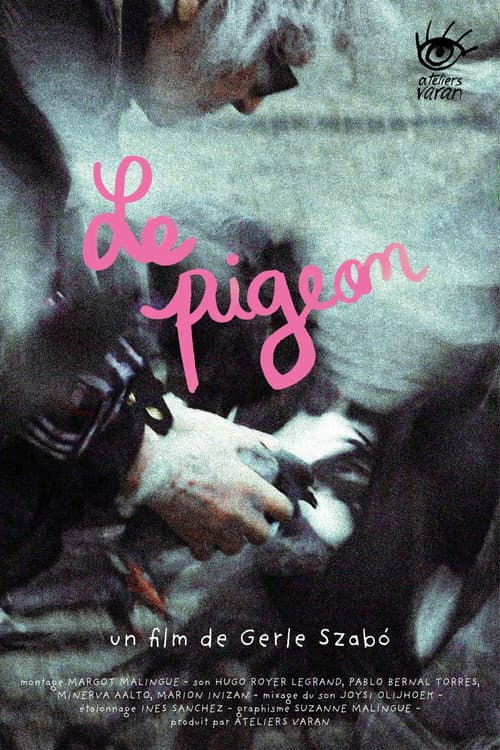 Poster for The Pigeon
