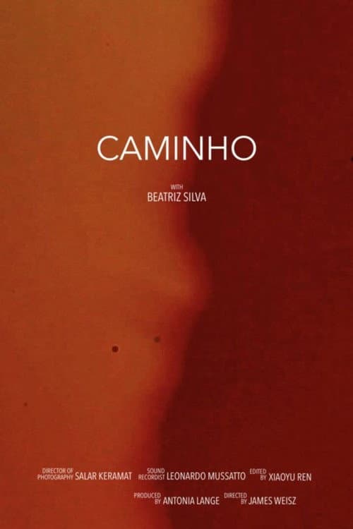 Poster for Camhino (The Road)