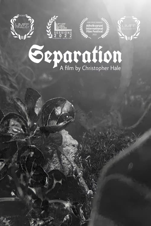 Poster for Separation