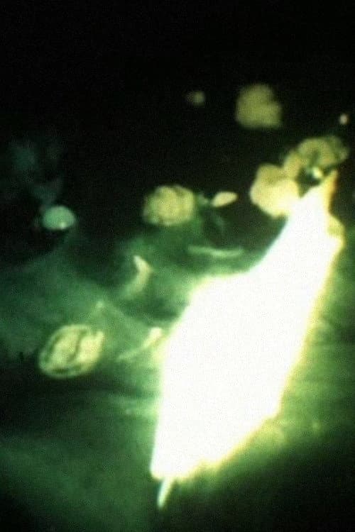 Poster for Bermuda Triangle