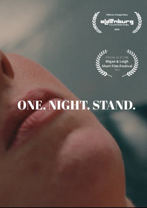 Poster for One Night Stand