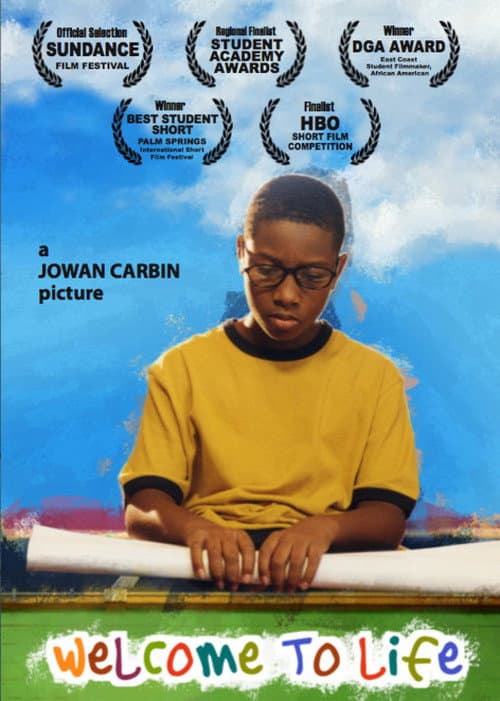 Poster for Welcome to Life