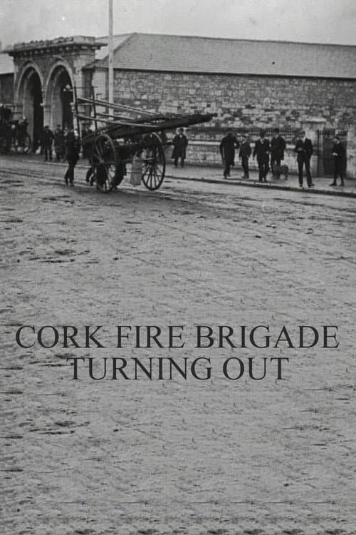 Poster for Cork Fire Brigade Turning Out