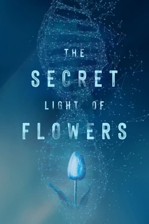 Постер до фільму «The Secret Light of Flowers»