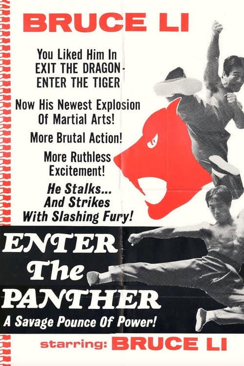 Poster for Enter the Panther