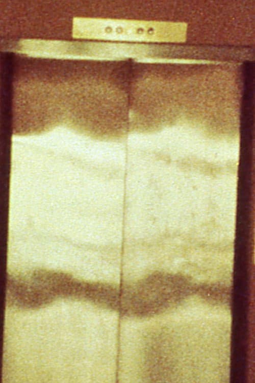 Poster for Door