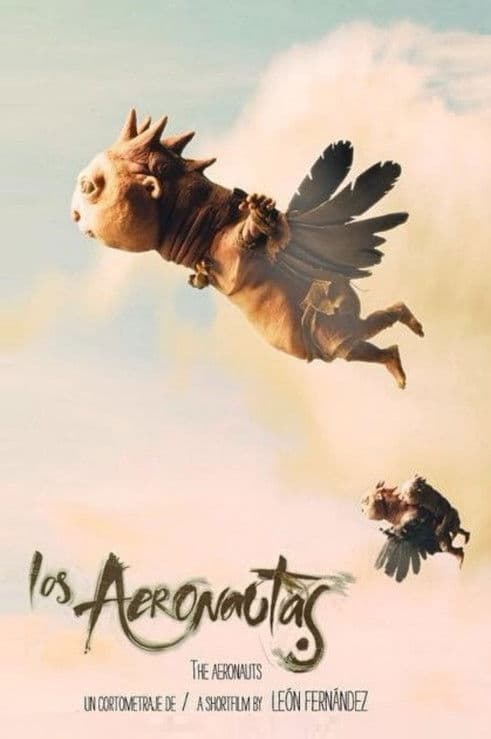 Poster for The Aeronauts