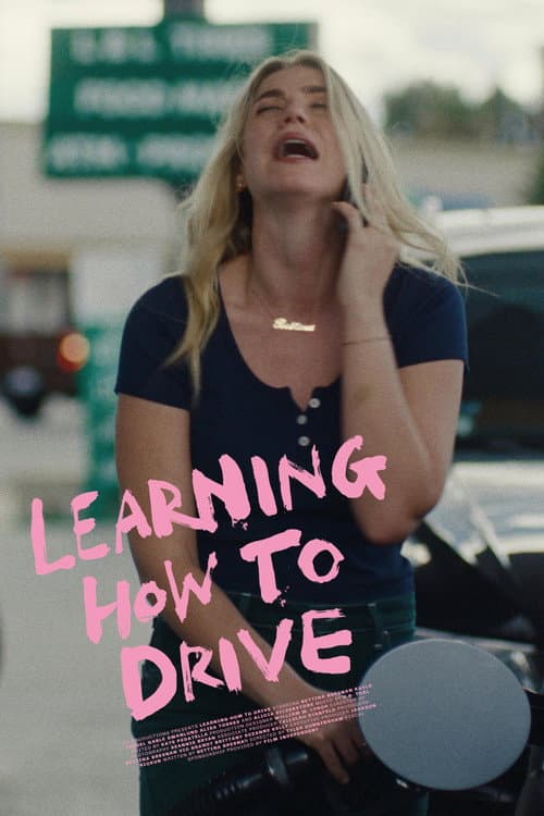 Poster for Learning How to Drive
