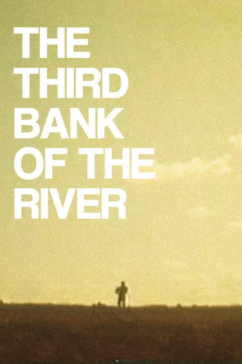 Poster for The Third Bank of the River