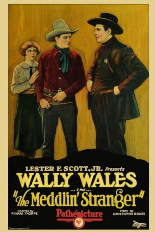Poster for The Meddlin' Stranger