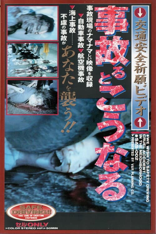 Poster for What Happens When You Have An Accident: Traffic Safety