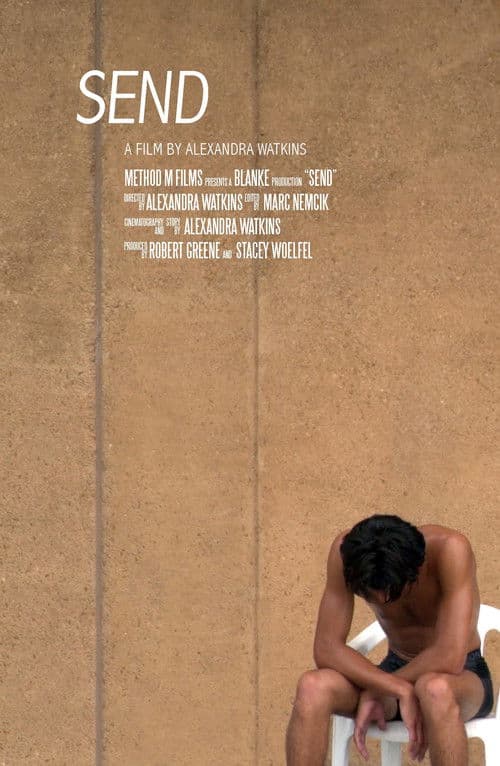 Poster for SEND