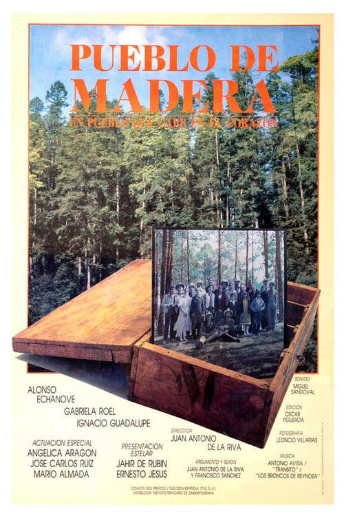 Poster for Wooden Town