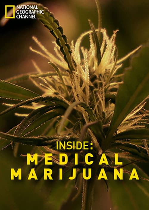Poster for Inside: Medical Marijuana