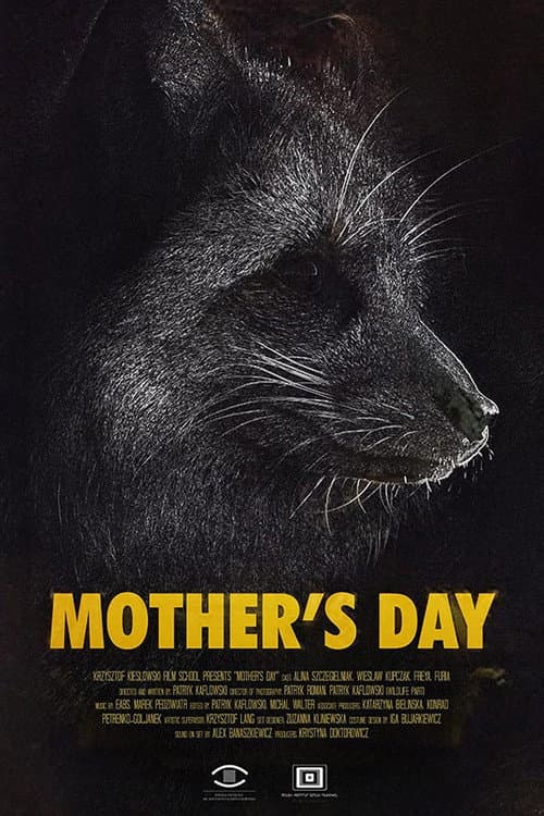 Poster for Mother's Day